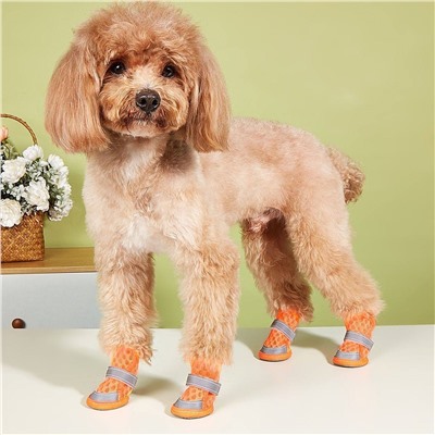 Дышащие ботиночки для собак