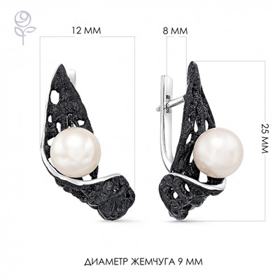 Серьги серебро 52263S1B