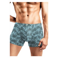 Трусы CLEVER, 1125973