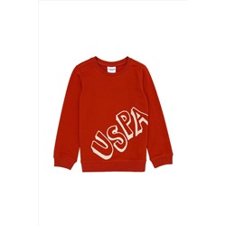 Çocuk Kiremit Basic Bisiklet Yaka Sweatshirt