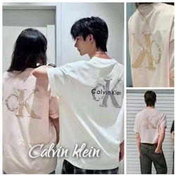 Футболка хлопковая 5 цветов  СК