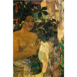 Camiseta mangas tul Polinesia