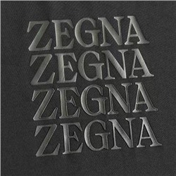 Мужская футболка   ZEGN*A