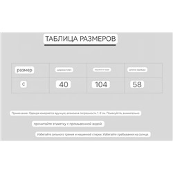 Новинка осень  2025  Худи унисекс свободного покроя  CELIN*E ОРИГИНАЛ!