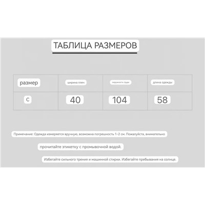 Новинка осень  2025  Худи унисекс свободного покроя  CELIN*E ОРИГИНАЛ!