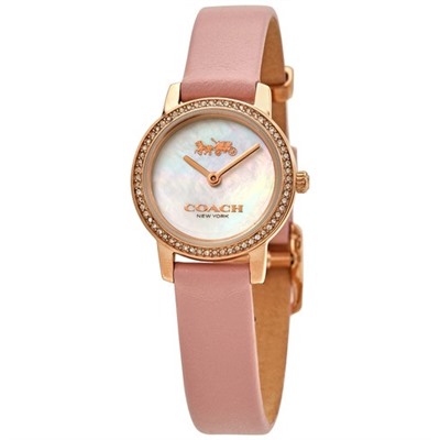 Coach Audrey Quartz Crystal Silver Dial Watch 14503363
