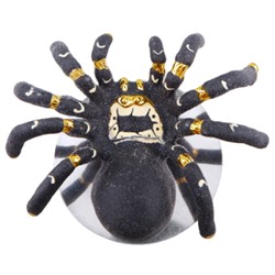 Брошь Паук (эмаль матовая черная; покрытие золото), Есть комплект