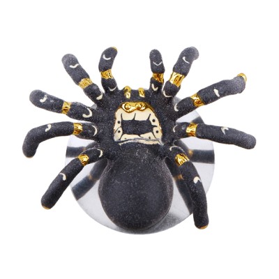 Брошь Паук (эмаль матовая черная; покрытие золото), Есть комплект