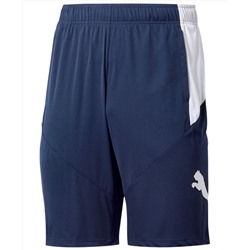 Puma Big & Tall Men's 10" Training Cat Shorts