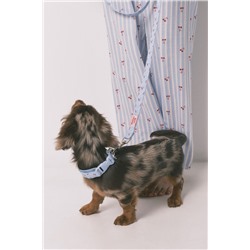 Collar perro azul colgante cerezas