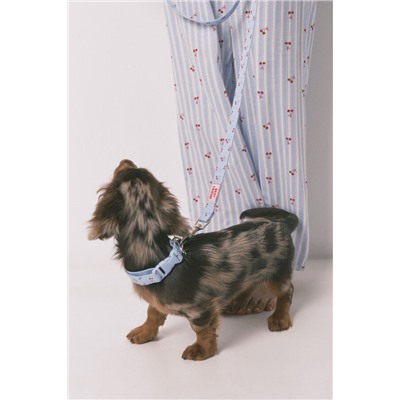 Collar perro azul colgante cerezas