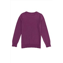 Kız Çocuk Menekşe Bisiklet Yaka Basic Kazak