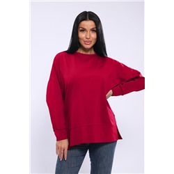 Толстовка с начесом Х 005