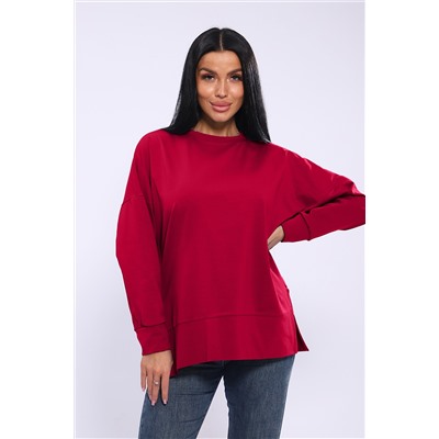 Толстовка с начесом Х 005