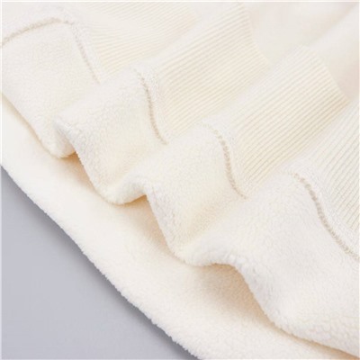 Толстовка свитшот с начесом внутри   Carhart*t Унисекс модель