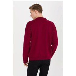 Erkek Bordo Polo Yaka Triko Kazak