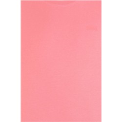 Erkek Somon Basic Bisiklet Yaka Tişört