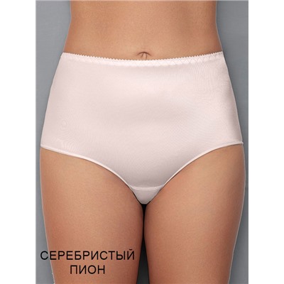 Трусы 255 Siluet Albina_L ЧЗ слип Albina L