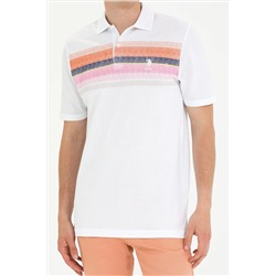 Erkek Kiremit Polo Yaka Tişört