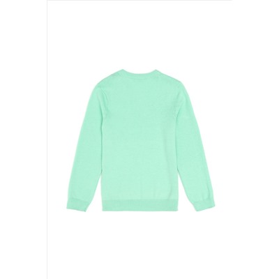Erkek Çocuk Mint Basic V Yaka Kazak