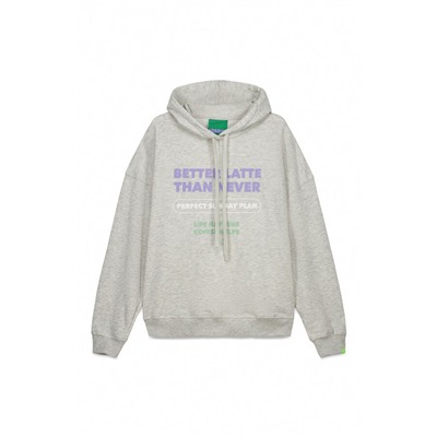 Sudadera capucha felpa algodón gris