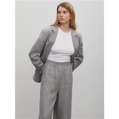 Брюки из костюмной шерсти, D289/alloy