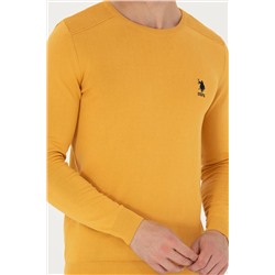 Erkek Hardal Basic Kazak