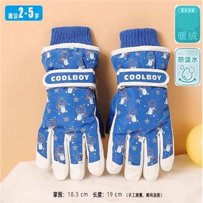 Горнолыжные перчатки (2-5 лет)