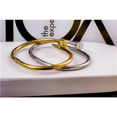 Стальной браслет Картье Гвоздь + Подарок