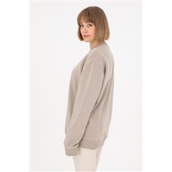 Erkek Taş Basic Sweatshirt