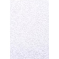 Kadın Beyaz Bisiklet Yaka Tişört