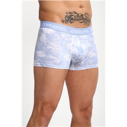 Трусы мужские 45072