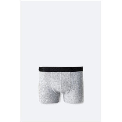 Avva Erkek Gri Pamuklu Esnek Tekli Düz Boxer B009510
