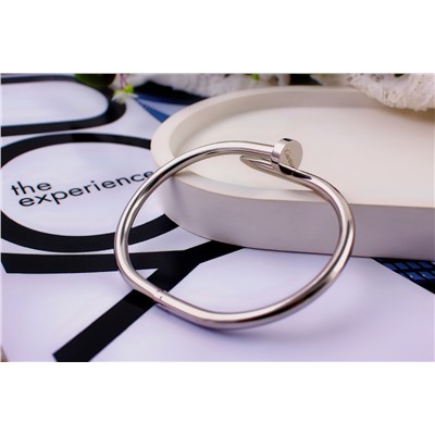 Стальной браслет Картье Гвоздь + Подарок