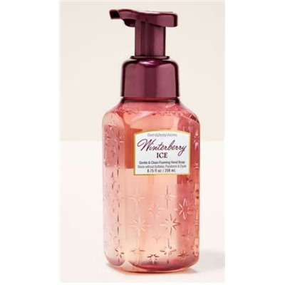 Winterberry Ice Gentle & Clean Foaming Hand Soap