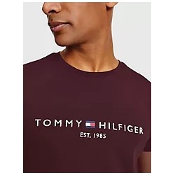 Embroidered Tommy Logo T-Shirt