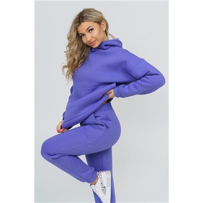 Костюм 36586 (худи + брюки) НАТАЛИ #811075