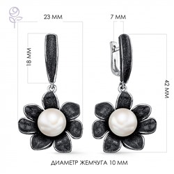 Серьги серебро 52802S1B