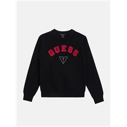 Guess  Phoenix crewneck sweater (7-16)