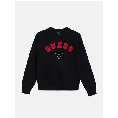 Guess  Phoenix crewneck sweater (7-16)