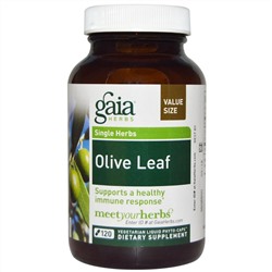 Gaia Herbs, Лист оливы, 120 жидких фито-капсул на растительной основе