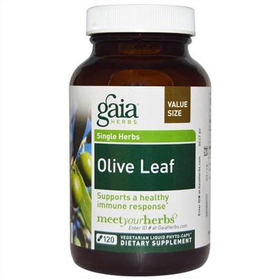 Gaia Herbs, Лист оливы, 120 жидких фито-капсул на растительной основе