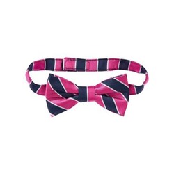 Striped Bow Tie