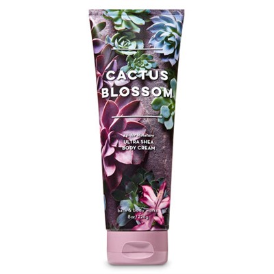 Signature Collection


Cactus Blossom


Ultra Shea Body Cream