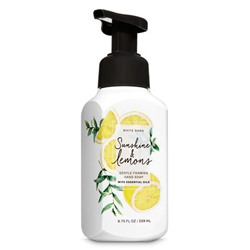Sunshine & Lemons


Gentle Foaming Hand Soap