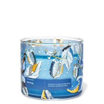 White Barn


Winter


3-Wick Candle