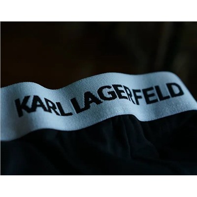 Боксеры Karl Lagerfel*d (2шт)🐈‍⬛ отшиты на фабрике из остатков оригинальной ткани✔️