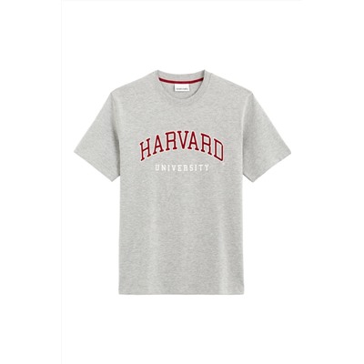 Camiseta Harvard Gris claro jaspeado