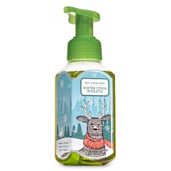 Winter Citrus Wreath


Gentle Foaming Hand Soap