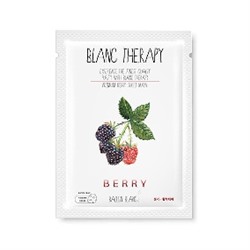 Premium  Berry Sheet Mask(10ea)
